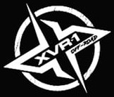 logo in footer section